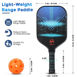 USAPA-Approved Pickleball Paddle Set